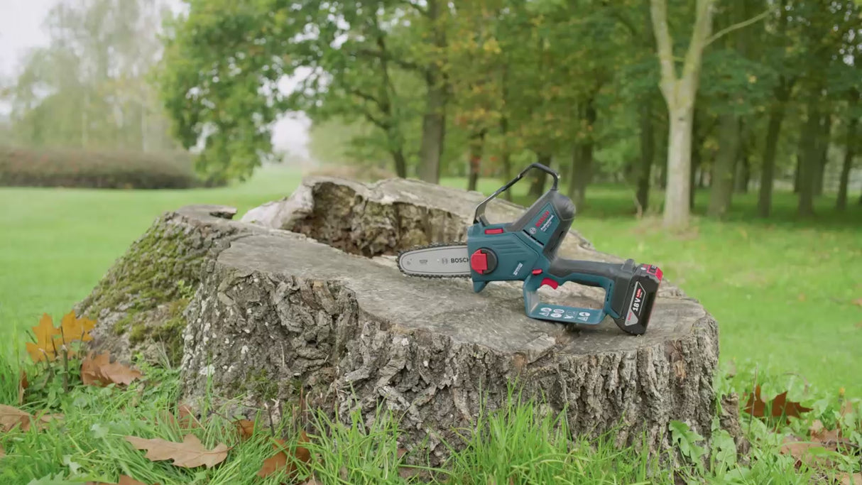 Potatore Bosch GKE 18V-15