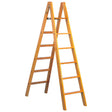 Scala Facal Pioli